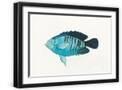 Black Frame