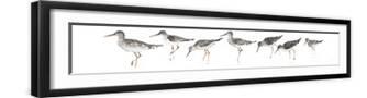 Black Frame