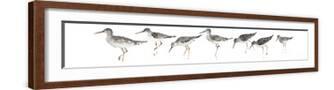 Brown Frame