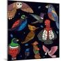 Aves, Mix Ecuador-Belen Mena-Mounted Giclee Print