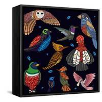 Aves, Mix Ecuador-Belen Mena-Framed Stretched Canvas