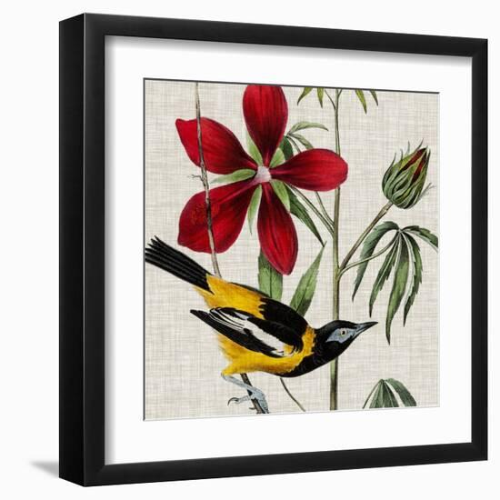 Avian Crop I-John James Audubon-Framed Art Print