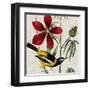 Avian Crop I-John James Audubon-Framed Art Print