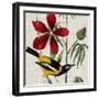 Avian Crop I-John James Audubon-Framed Art Print