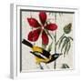 Avian Crop I-John James Audubon-Framed Art Print