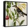 Avian Crop II-John James Audubon-Framed Stretched Canvas