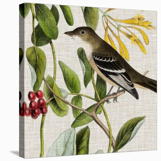 Avian Crop II-John James Audubon-Stretched Canvas