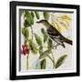 Avian Crop II-John James Audubon-Framed Art Print