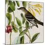 Avian Crop II-John James Audubon-Mounted Art Print