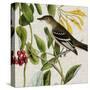 Avian Crop II-John James Audubon-Stretched Canvas