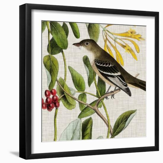 Avian Crop II-John James Audubon-Framed Art Print