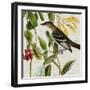 Avian Crop II-John James Audubon-Framed Art Print