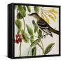 Avian Crop II-John James Audubon-Framed Stretched Canvas