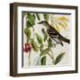 Avian Crop II-John James Audubon-Framed Art Print