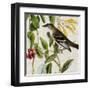 Avian Crop II-John James Audubon-Framed Art Print