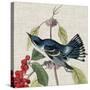 Avian Crop III-John James Audubon-Stretched Canvas