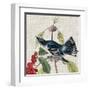 Avian Crop III-John James Audubon-Framed Art Print