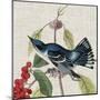 Avian Crop III-John James Audubon-Mounted Art Print