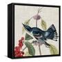 Avian Crop III-John James Audubon-Framed Stretched Canvas