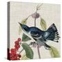 Avian Crop III-John James Audubon-Stretched Canvas