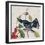 Avian Crop III-John James Audubon-Framed Art Print