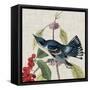 Avian Crop III-John James Audubon-Framed Stretched Canvas