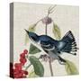 Avian Crop III-John James Audubon-Stretched Canvas