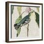 Avian Crop IV-John James Audubon-Framed Art Print