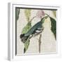 Avian Crop IV-John James Audubon-Framed Art Print