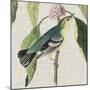 Avian Crop IV-John James Audubon-Mounted Art Print