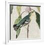 Avian Crop IV-John James Audubon-Framed Premium Giclee Print