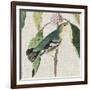 Avian Crop IV-John James Audubon-Framed Premium Giclee Print