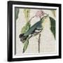 Avian Crop IV-John James Audubon-Framed Art Print