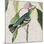 Avian Crop IV-John James Audubon-Mounted Art Print