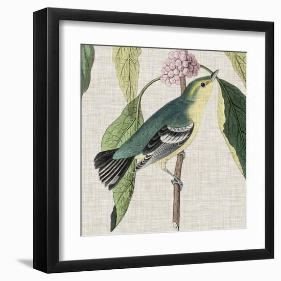 Avian Crop IV-John James Audubon-Framed Art Print