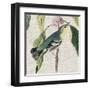 Avian Crop IV-John James Audubon-Framed Art Print