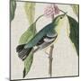 Avian Crop IV-John James Audubon-Mounted Art Print