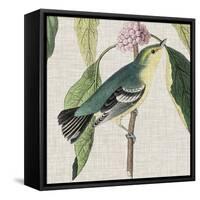 Avian Crop IV-John James Audubon-Framed Stretched Canvas