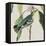 Avian Crop IV-John James Audubon-Framed Stretched Canvas