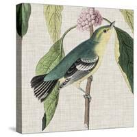 Avian Crop IV-John James Audubon-Stretched Canvas