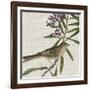 Avian Crop IX-John James Audubon-Framed Art Print