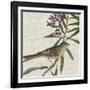 Avian Crop IX-John James Audubon-Framed Art Print