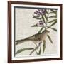 Avian Crop IX-John James Audubon-Framed Premium Giclee Print