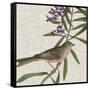 Avian Crop IX-John James Audubon-Framed Stretched Canvas