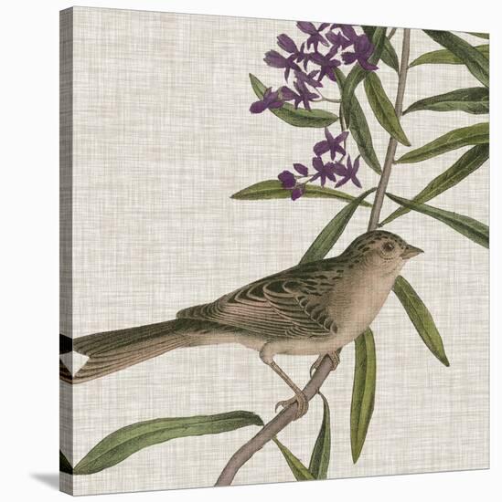 Avian Crop IX-John James Audubon-Stretched Canvas