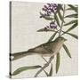 Avian Crop IX-John James Audubon-Stretched Canvas