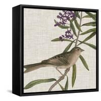Avian Crop IX-John James Audubon-Framed Stretched Canvas