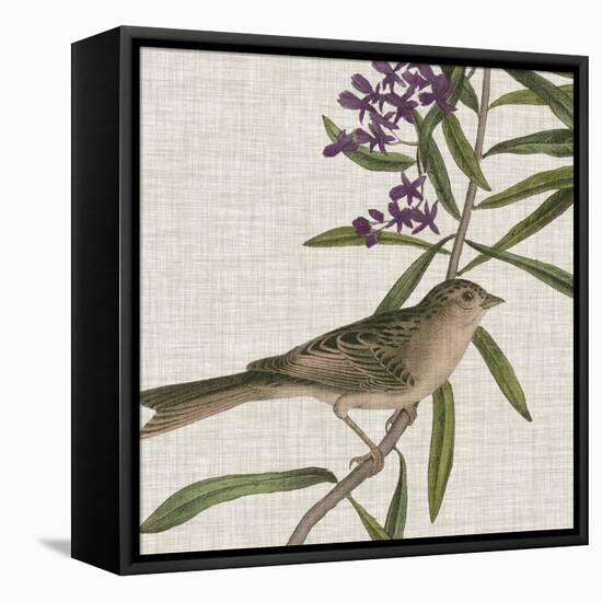 Avian Crop IX-John James Audubon-Framed Stretched Canvas