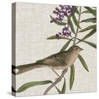 Avian Crop IX-John James Audubon-Stretched Canvas