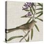 Avian Crop IX-John James Audubon-Stretched Canvas